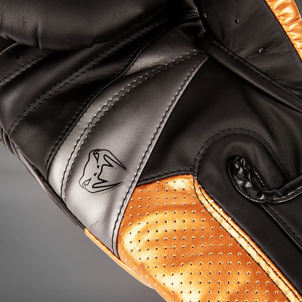 Boxerské rukavice Venum Elite Evo - Černá/Bronzová