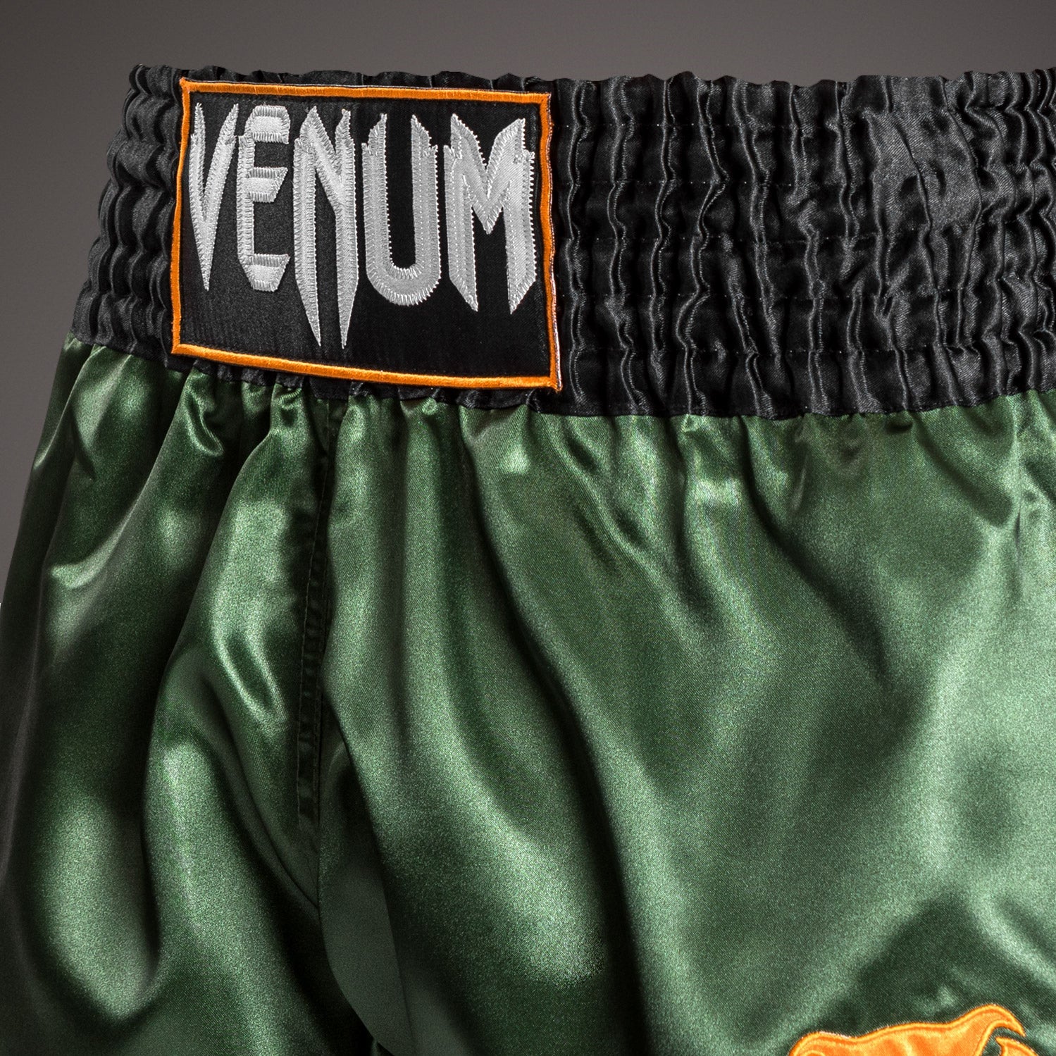 Venum Classic Muay Thai Kraťasy - Zelená/Černá/Zlatá