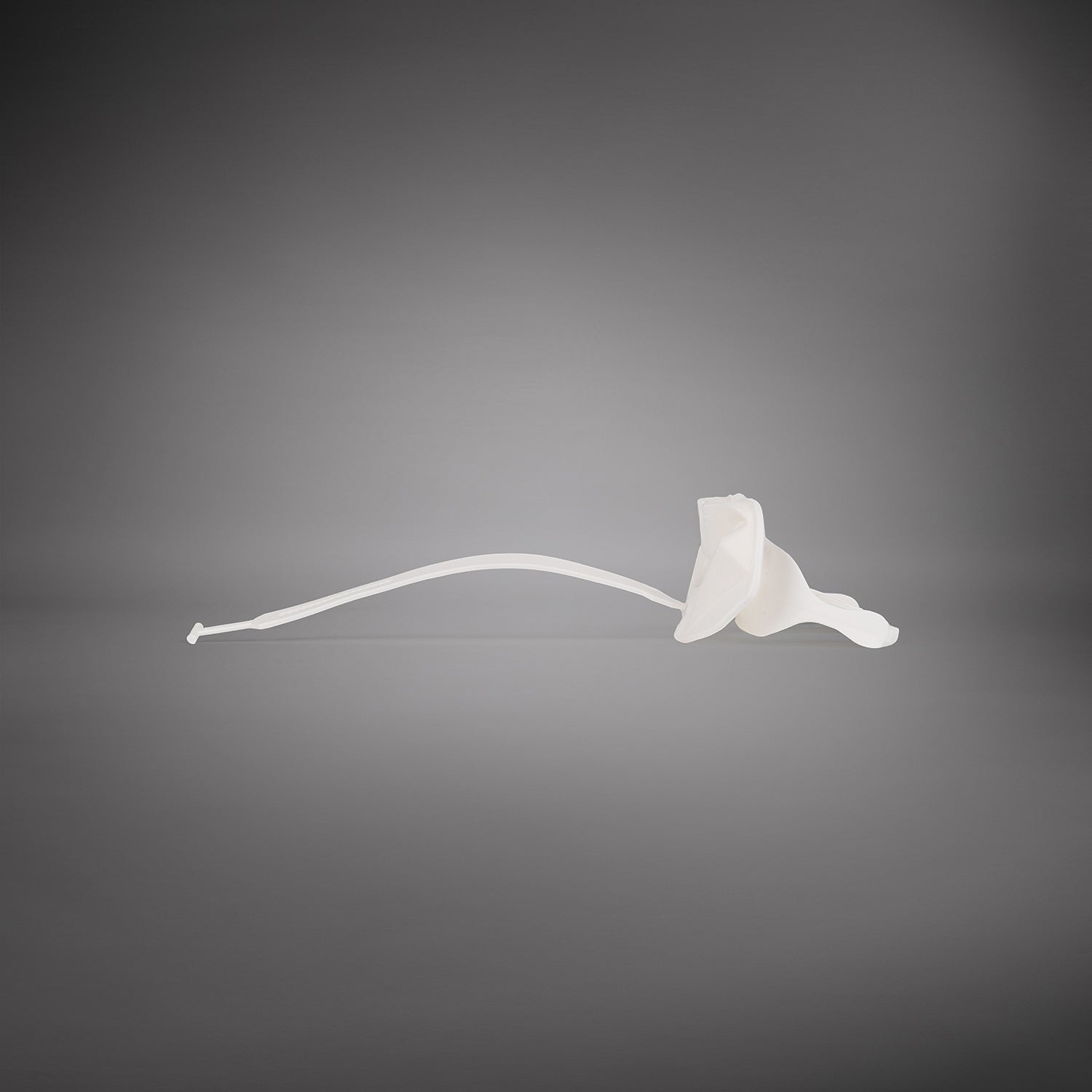 Venum Elite Lipguard OG Edition - Bílá/Bílá